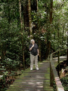 Gunung Mulu State Park