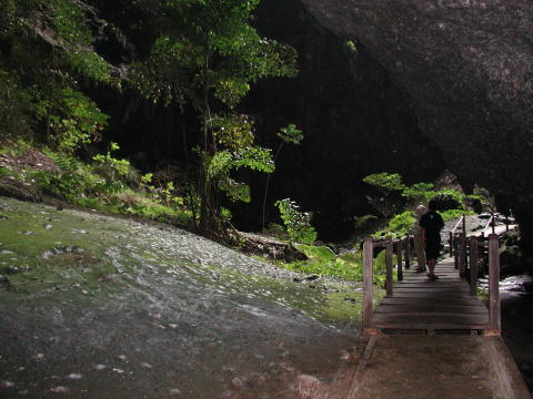Gunung Mulu State Park - Deer Cave