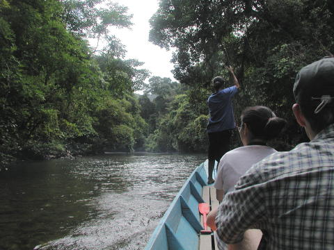 Melinau River