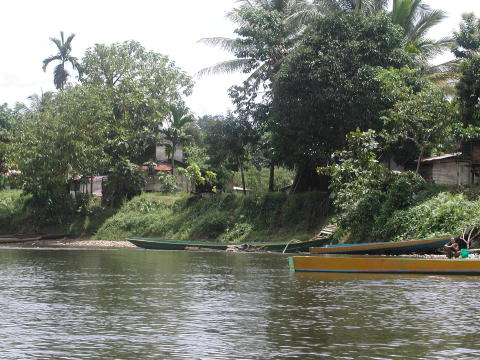 Batu Bungar on the Melinau River