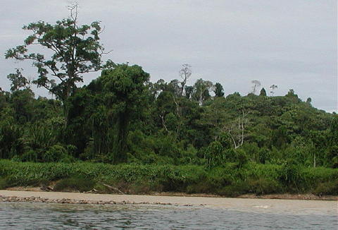 Melinau and Tanol Rivers