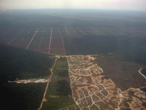 Sarawak from airplane