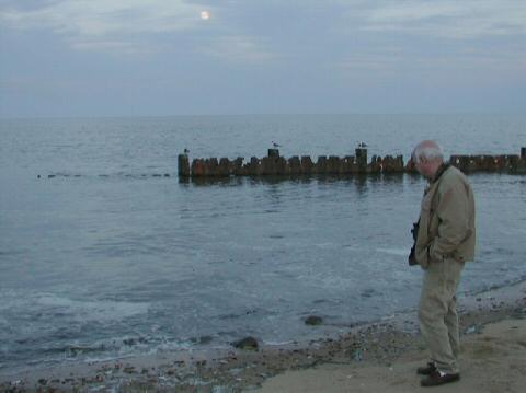 Horseshoe Crab Show018