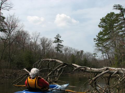 Eagle Nest 3-27-07002