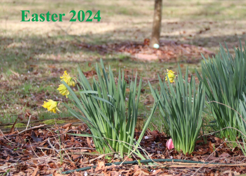 Easter on Wharf Creek - 2024