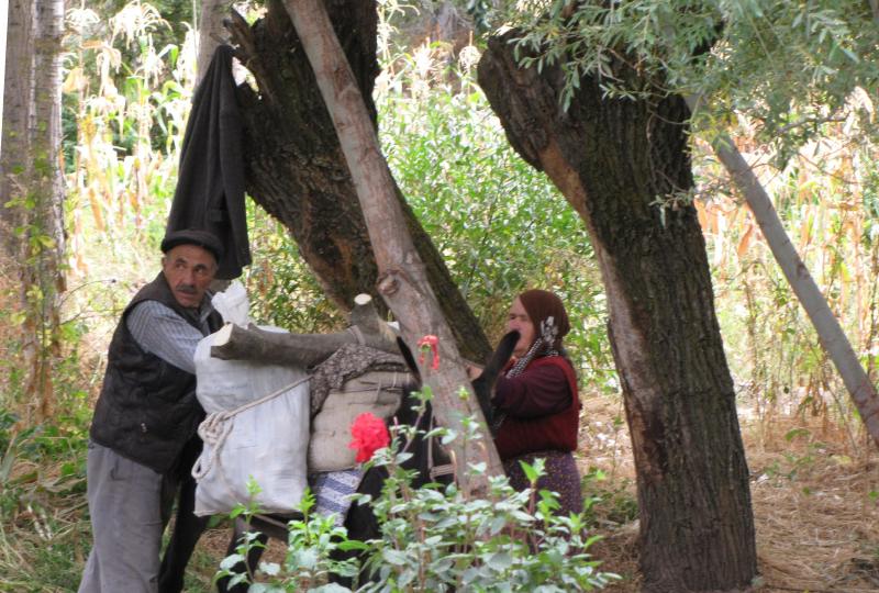 Turkey show -030 farmers in Ilhara valley