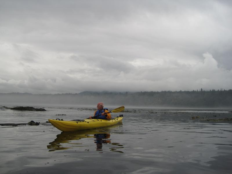 Washington 2011-014