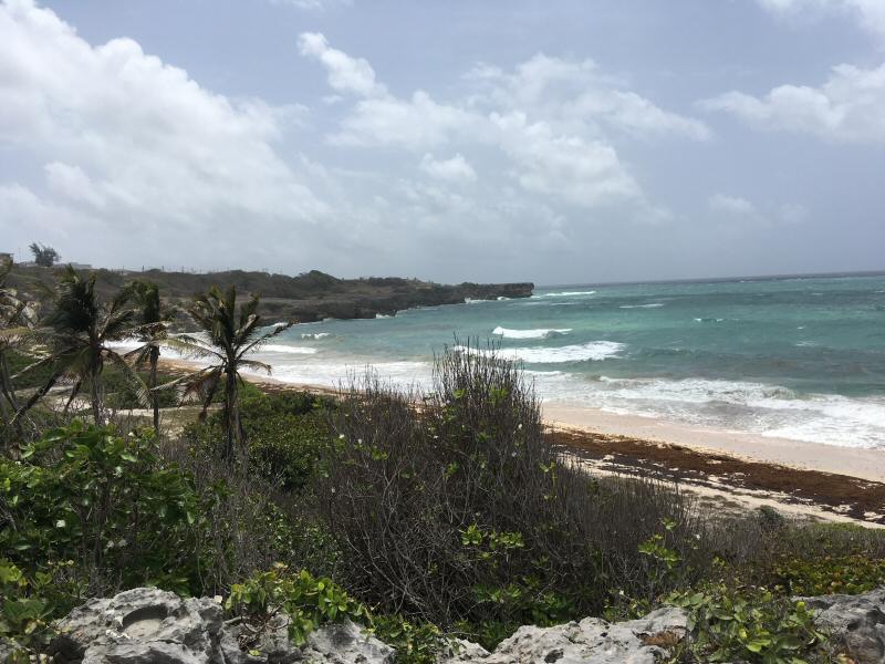 Bathsheba beach