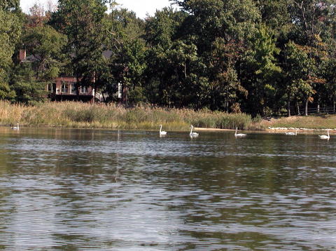 kayaking006