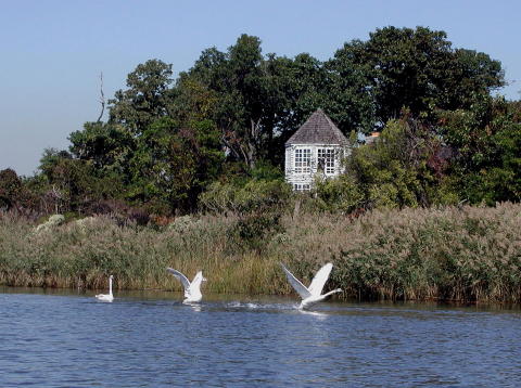 kayaking008