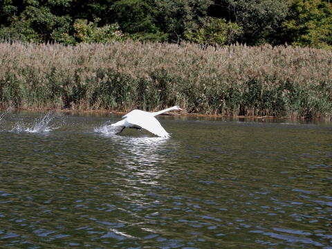 kayaking009