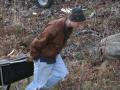 Robert hauls